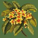 Elizabeth Bradley, Tropicals, FRANGIPANI - 16x16 pollici Elizabeth Bradley - 5