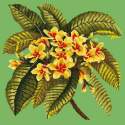 Elizabeth Bradley, Tropicals, FRANGIPANI - 16x16 pollici Elizabeth Bradley - 6