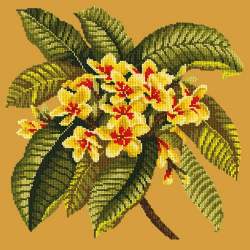 Elizabeth Bradley, Tropicals, FRANGIPANI - 16x16 pollici Elizabeth Bradley - 12