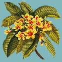 Elizabeth Bradley, Tropicals, FRANGIPANI - 16x16 pollici Elizabeth Bradley - 14