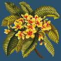 Elizabeth Bradley, Tropicals, FRANGIPANI - 16x16 pollici Elizabeth Bradley - 15