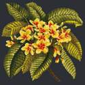 Elizabeth Bradley, Tropicals, FRANGIPANI - 16x16 pollici Elizabeth Bradley - 17