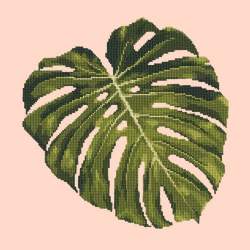 Elizabeth Bradley, Tropicals, MONSTERA LEAF - 16x16 pollici Elizabeth Bradley - 2