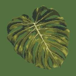 Elizabeth Bradley, Tropicals, MONSTERA LEAF - 16x16 pollici Elizabeth Bradley - 5