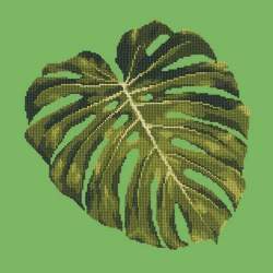 Elizabeth Bradley, Tropicals, MONSTERA LEAF - 16x16 pollici Elizabeth Bradley - 6