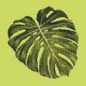 Elizabeth Bradley, Tropicals, MONSTERA LEAF - 16x16 pollici Elizabeth Bradley - 7