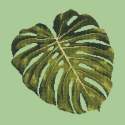 Elizabeth Bradley, Tropicals, MONSTERA LEAF - 16x16 pollici Elizabeth Bradley - 8