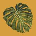 Elizabeth Bradley, Tropicals, MONSTERA LEAF - 16x16 pollici Elizabeth Bradley - 12