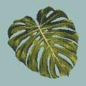 Elizabeth Bradley, Tropicals, MONSTERA LEAF - 16x16 pollici Elizabeth Bradley - 13