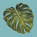 Elizabeth Bradley, Tropicals, MONSTERA LEAF - 16x16 pollici Elizabeth Bradley - 14