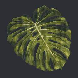 Elizabeth Bradley, Tropicals, MONSTERA LEAF - 16x16 pollici Elizabeth Bradley - 17