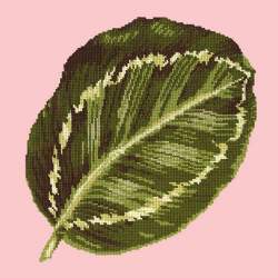 Elizabeth Bradley, Tropicals, CALATHEA LEAF - 16x16 pollici Elizabeth Bradley - 1