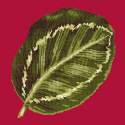 Elizabeth Bradley, Tropicals, CALATHEA LEAF - 16x16 pollici Elizabeth Bradley - 3