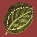 Elizabeth Bradley, Tropicals, CALATHEA LEAF - 16x16 pollici Elizabeth Bradley - 4