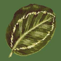 Elizabeth Bradley, Tropicals, CALATHEA LEAF - 16x16 pollici Elizabeth Bradley - 5