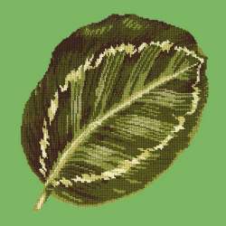 Elizabeth Bradley, Tropicals, CALATHEA LEAF - 16x16 pollici Elizabeth Bradley - 6