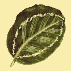 Elizabeth Bradley, Tropicals, CALATHEA LEAF - 16x16 pollici Elizabeth Bradley - 9