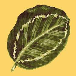 Elizabeth Bradley, Tropicals, CALATHEA LEAF - 16x16 pollici Elizabeth Bradley - 10