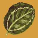 Elizabeth Bradley, Tropicals, CALATHEA LEAF - 16x16 pollici Elizabeth Bradley - 12