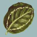 Elizabeth Bradley, Tropicals, CALATHEA LEAF - 16x16 pollici Elizabeth Bradley - 13