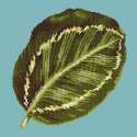 Elizabeth Bradley, Tropicals, CALATHEA LEAF - 16x16 pollici Elizabeth Bradley - 14