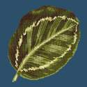 Elizabeth Bradley, Tropicals, CALATHEA LEAF - 16x16 pollici Elizabeth Bradley - 15