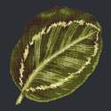 Elizabeth Bradley, Tropicals, CALATHEA LEAF - 16x16 pollici Elizabeth Bradley - 17