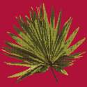 Elizabeth Bradley, Tropicals, FAN PALM LEAF - 16x16 pollici Elizabeth Bradley - 3