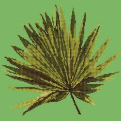 Elizabeth Bradley, Tropicals, FAN PALM LEAF - 16x16 pollici Elizabeth Bradley - 6