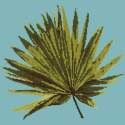 Elizabeth Bradley, Tropicals, FAN PALM LEAF - 16x16 pollici Elizabeth Bradley - 14