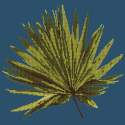 Elizabeth Bradley, Tropicals, FAN PALM LEAF - 16x16 pollici Elizabeth Bradley - 15