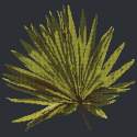 Elizabeth Bradley, Tropicals, FAN PALM LEAF - 16x16 pollici Elizabeth Bradley - 17