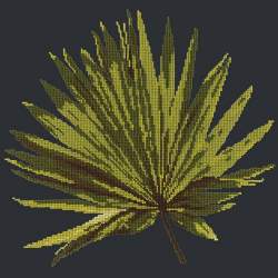 Elizabeth Bradley, Tropicals, FAN PALM LEAF - 16x16 pollici Elizabeth Bradley - 17