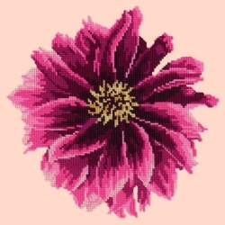 Elizabeth Bradley, Blooms, DAHLIA - 12x12 pollici Elizabeth Bradley - 2