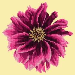 Elizabeth Bradley, Blooms, DAHLIA - 12x12 pollici Elizabeth Bradley - 9