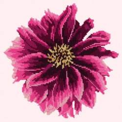 Elizabeth Bradley, Blooms, DAHLIA - 12x12 pollici Elizabeth Bradley - 11