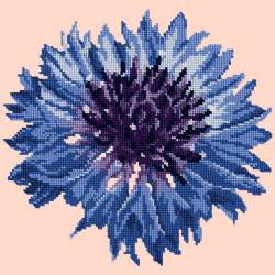 Elizabeth Bradley, Blooms, CORNFLOWER - 12x12 pollici Elizabeth Bradley - 2