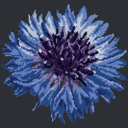 Elizabeth Bradley, Blooms, CORNFLOWER - 12x12 pollici Elizabeth Bradley - 17