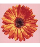 Elizabeth Bradley, Blooms, POT MARIGOLD - 12x12 pollici Elizabeth Bradley - 1