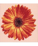 Elizabeth Bradley, Blooms, POT MARIGOLD - 12x12 pollici Elizabeth Bradley - 2