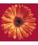 Elizabeth Bradley, Blooms, POT MARIGOLD - 12x12 pollici Elizabeth Bradley - 3