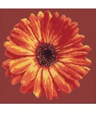 Elizabeth Bradley, Blooms, POT MARIGOLD - 12x12 pollici Elizabeth Bradley - 4