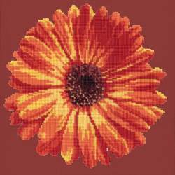 Elizabeth Bradley, Blooms, POT MARIGOLD - 12x12 pollici Elizabeth Bradley - 4