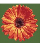 Elizabeth Bradley, Blooms, POT MARIGOLD - 12x12 pollici Elizabeth Bradley - 5