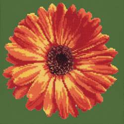 Elizabeth Bradley, Blooms, POT MARIGOLD - 12x12 pollici Elizabeth Bradley - 5