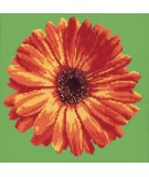 Elizabeth Bradley, Blooms, POT MARIGOLD - 12x12 pollici Elizabeth Bradley - 6