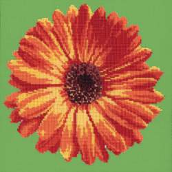 Elizabeth Bradley, Blooms, POT MARIGOLD - 12x12 pollici Elizabeth Bradley - 6