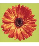 Elizabeth Bradley, Blooms, POT MARIGOLD - 12x12 pollici Elizabeth Bradley - 7