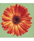 Elizabeth Bradley, Blooms, POT MARIGOLD - 12x12 pollici Elizabeth Bradley - 8