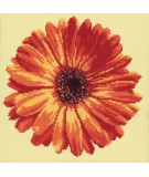 Elizabeth Bradley, Blooms, POT MARIGOLD - 12x12 pollici Elizabeth Bradley - 9